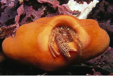 VR射击游戏《ALVO》2月12日登陆SteamVR