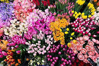 传闻：《远征：泥泞奔驰游戏》即将加入XGP