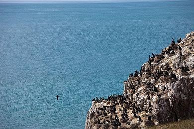 银河恶魔城新作《TEVI》新预告 第三季度发售